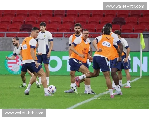 葡萄牙队数据——穿透战绩背后的秘密